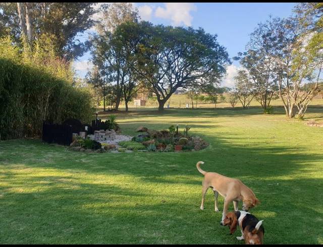 FARM FOR SALE IN RIETFONTEIN